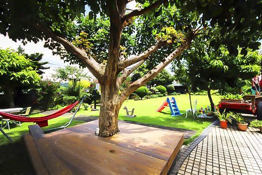 Taichung Xinshe Garden Life Homestay B&B Extérieur photo