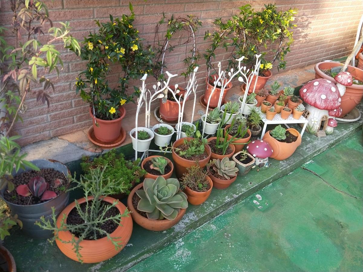 Taichung Xinshe Garden Life Homestay B&B Extérieur photo