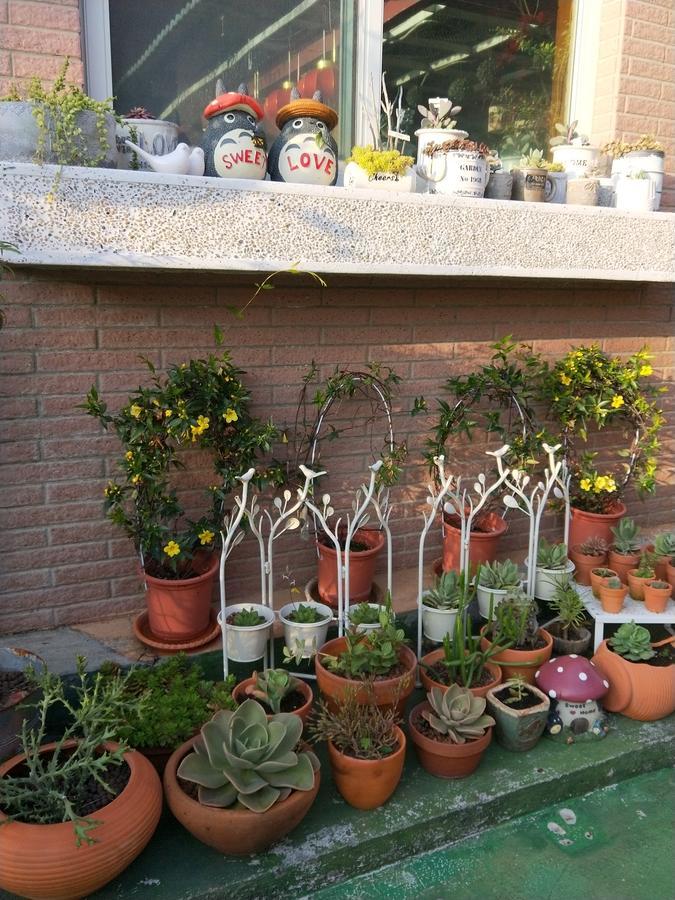 Taichung Xinshe Garden Life Homestay B&B Extérieur photo
